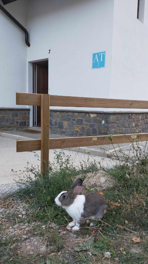 Casa Cotefablo Aloj Sorrosal Gavin Biescas Appartement Buitenkant foto